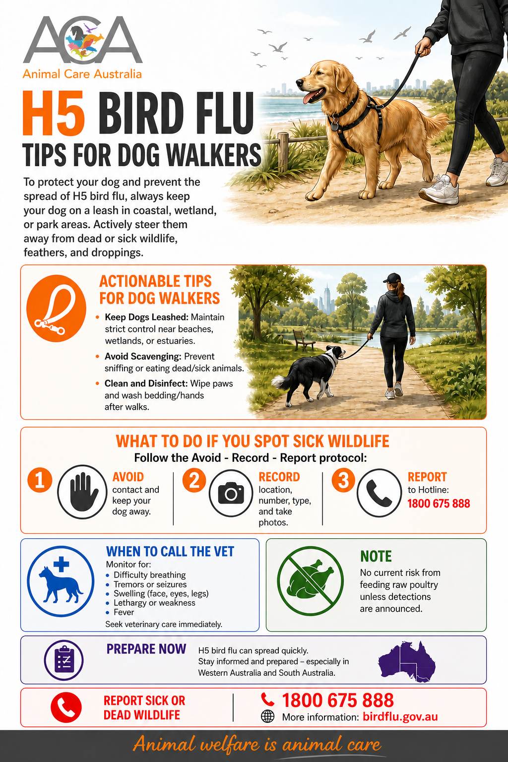 h5_dog_walker_poster_v4_cleaned