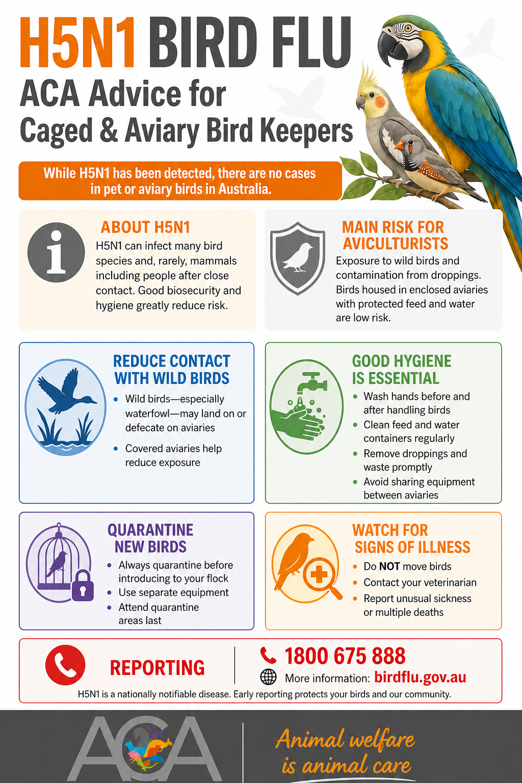 h5n1_birds
