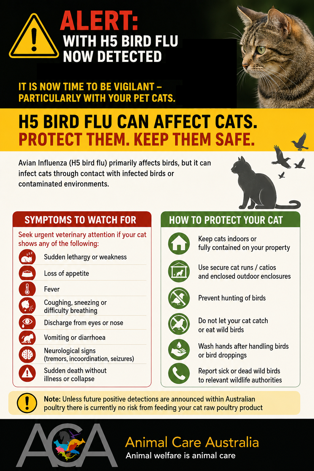 h5n1_cats01
