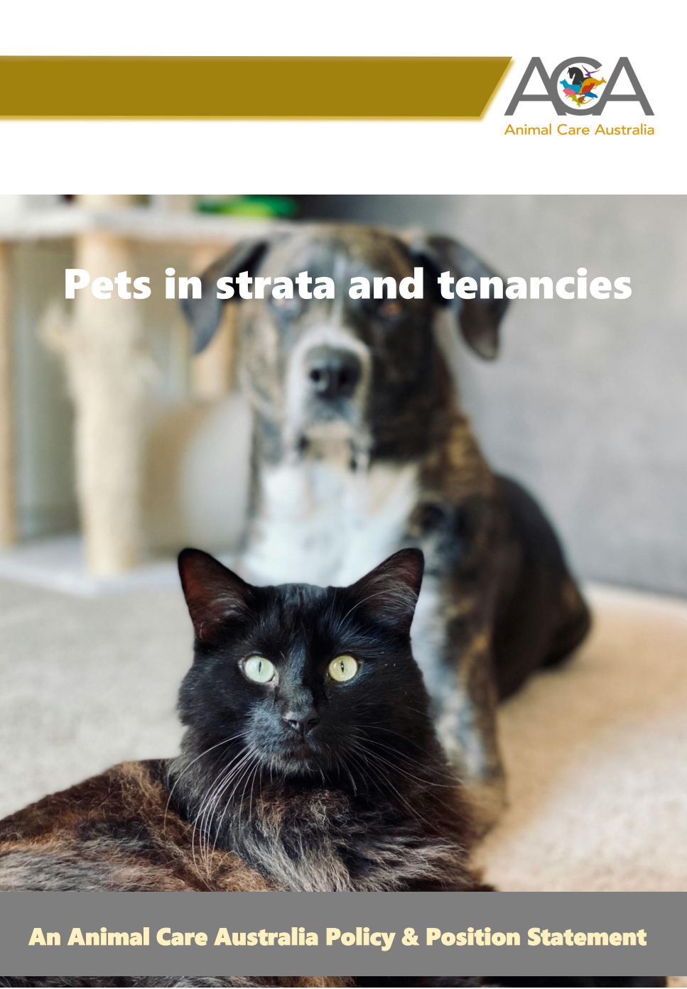 Strata