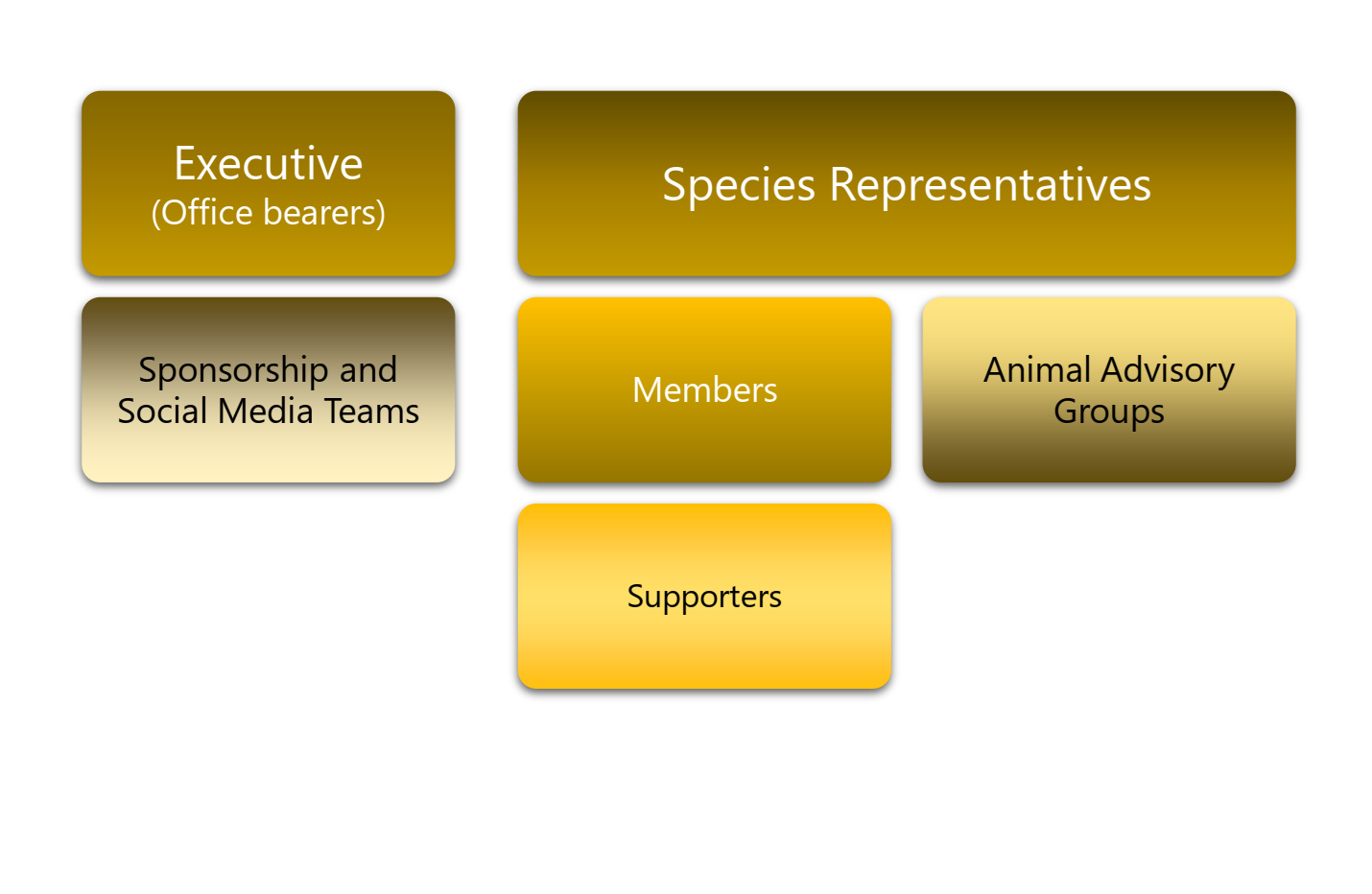 Org Structure